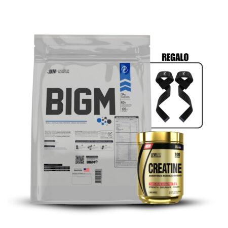 Bigm 5Kg Chocolate+Creatina Level Pro 250GrStraps