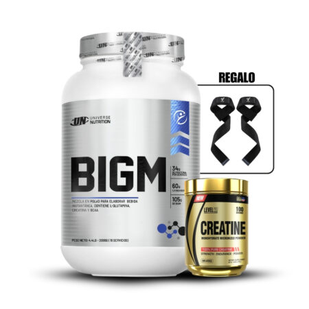 Bigm 2 Kg Vainilla+Creatina Level Pro 250GrStraps